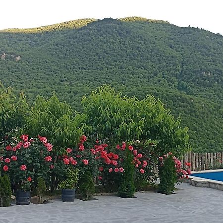 Green Garden Կանաչ Այգի Idschewan Exterior foto