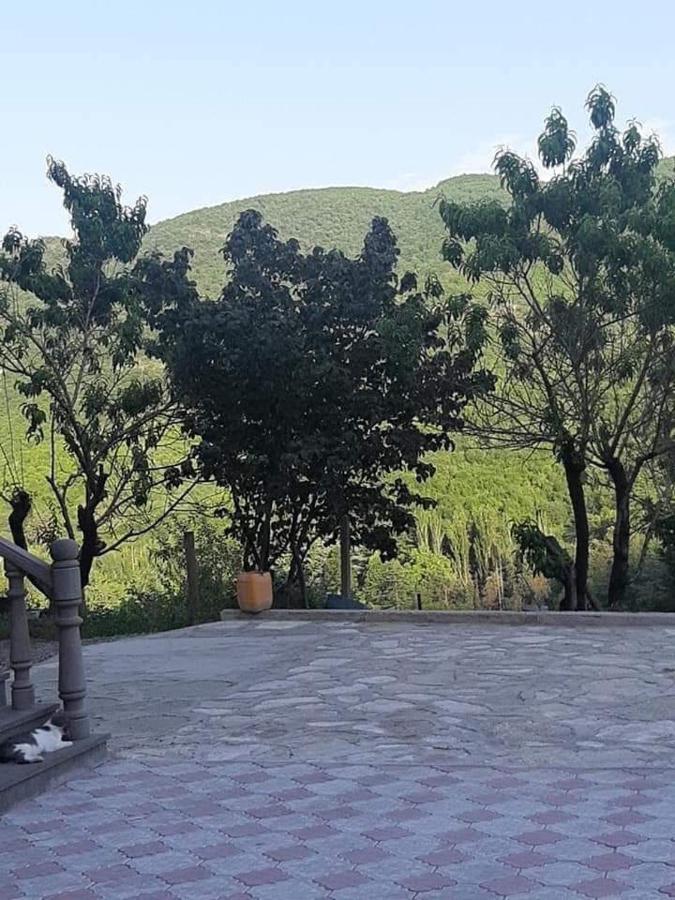 Green Garden Կանաչ Այգի Idschewan Exterior foto