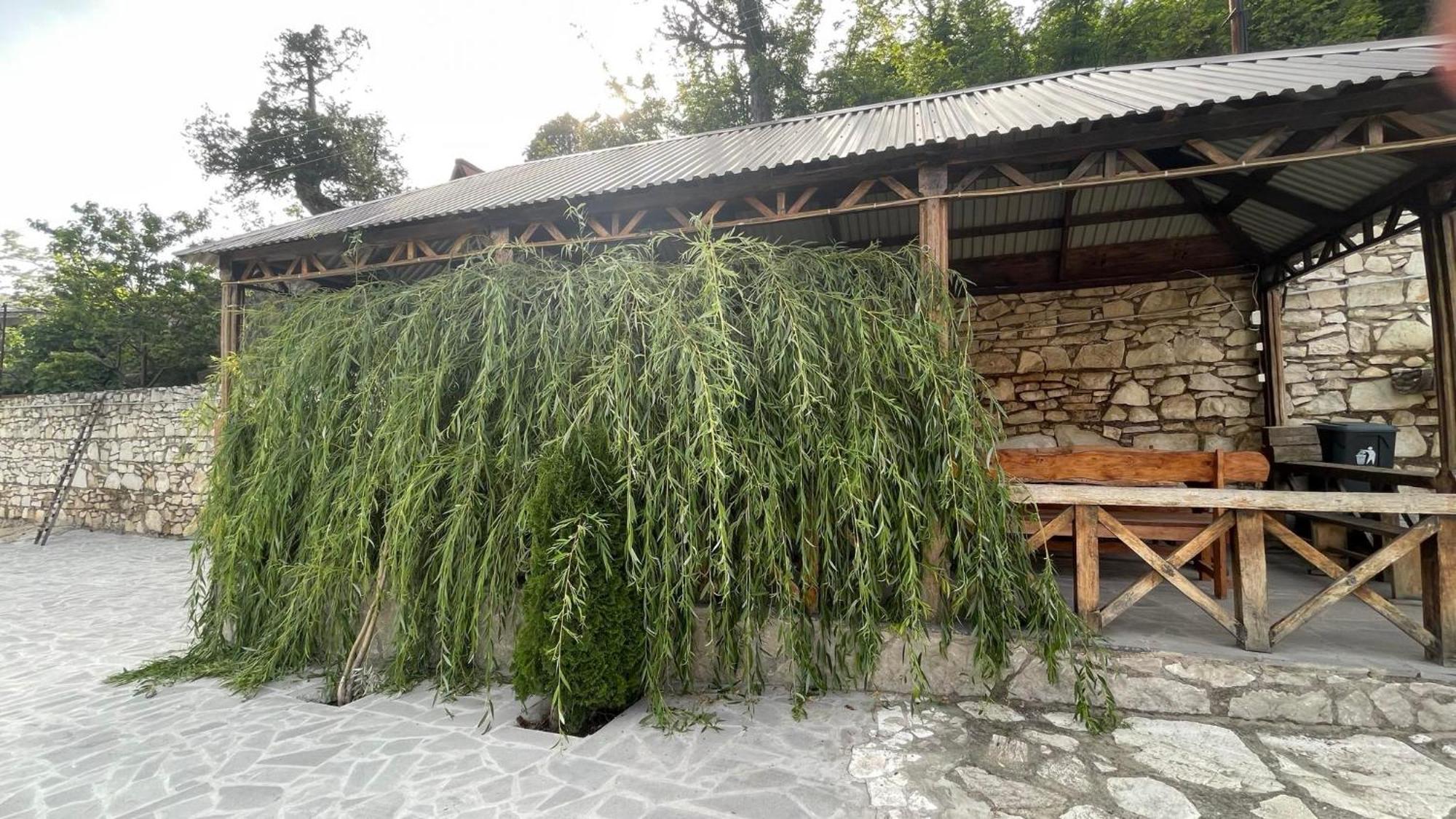 Green Garden Կանաչ Այգի Idschewan Exterior foto