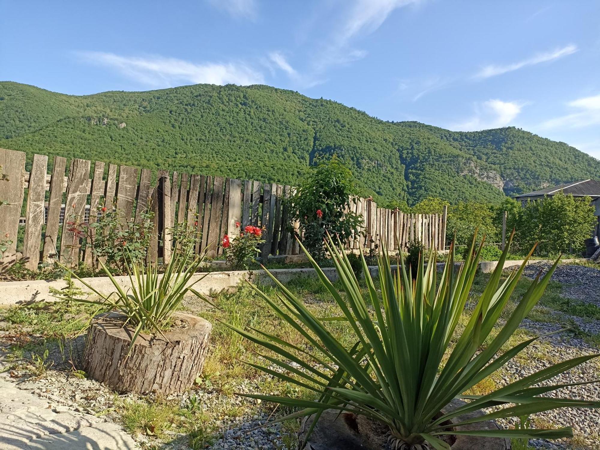 Green Garden Կանաչ Այգի Idschewan Exterior foto