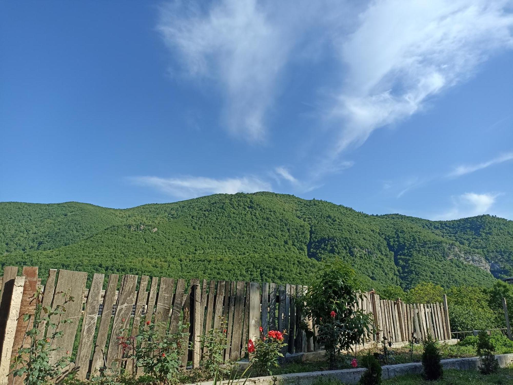 Green Garden Կանաչ Այգի Idschewan Exterior foto