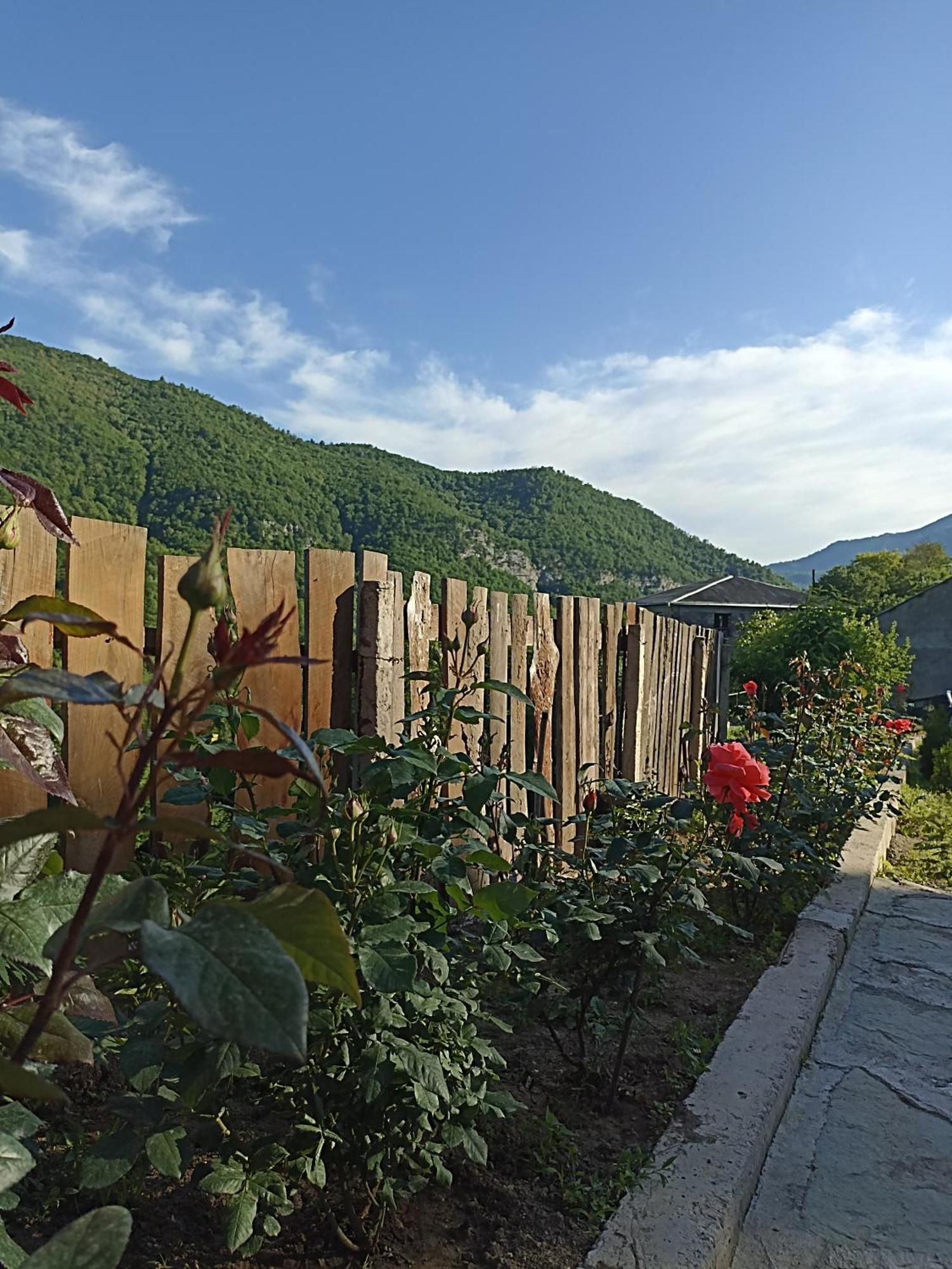 Green Garden Կանաչ Այգի Idschewan Exterior foto